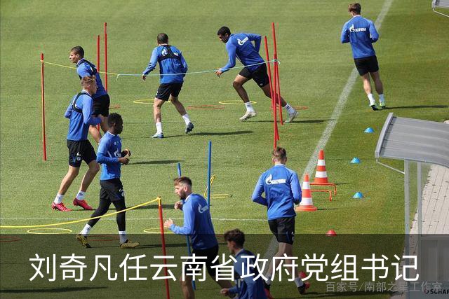 刘奇凡任云南省政府党组书记