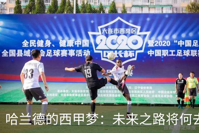 哈兰德的西甲梦：未来之路将何去何从？