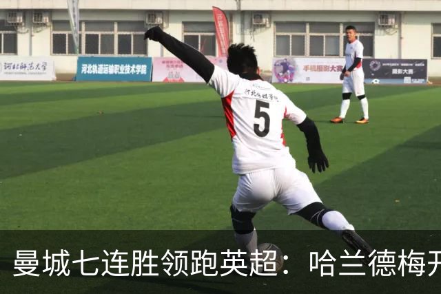 曼城七连胜领跑英超：哈兰德梅开二度,利维逆转胜