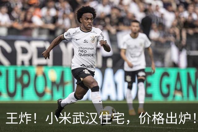 王炸！小米武汉住宅，价格出炉！