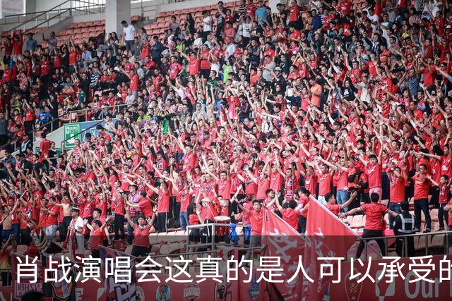 肖战演唱会这真的是人可以承受的吗？散场后还设心理疏导岗