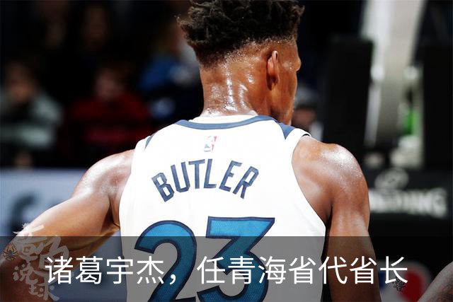 诸葛宇杰，任青海省代省长